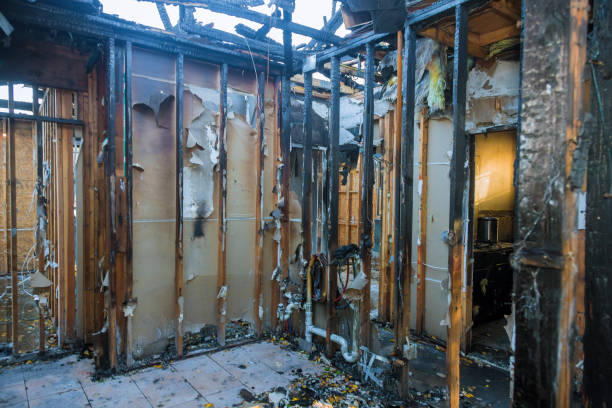 Professional Fire Damage Removal technician working in Kalida, OH
